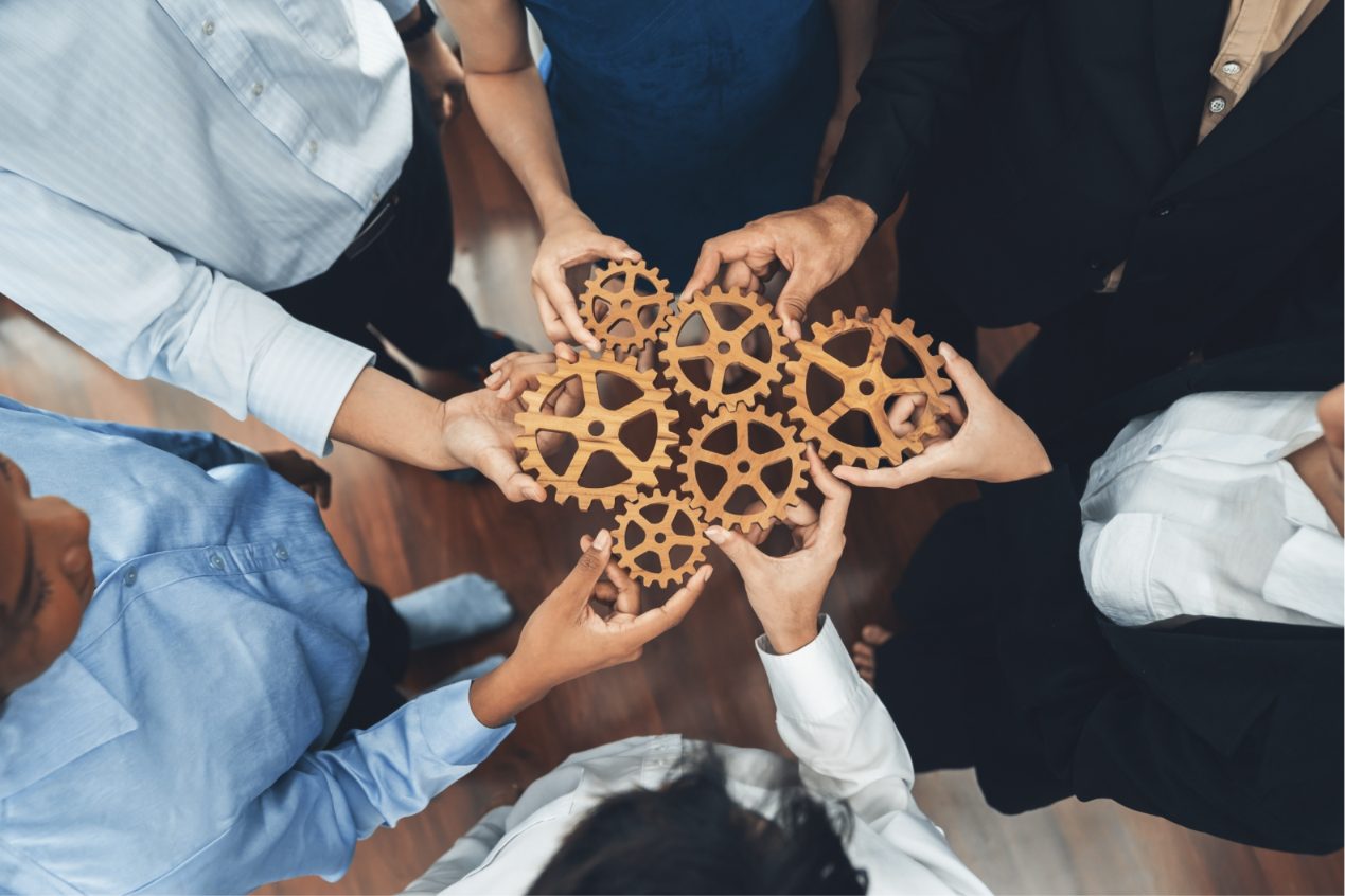 Colleagues fitting wooden gears together
